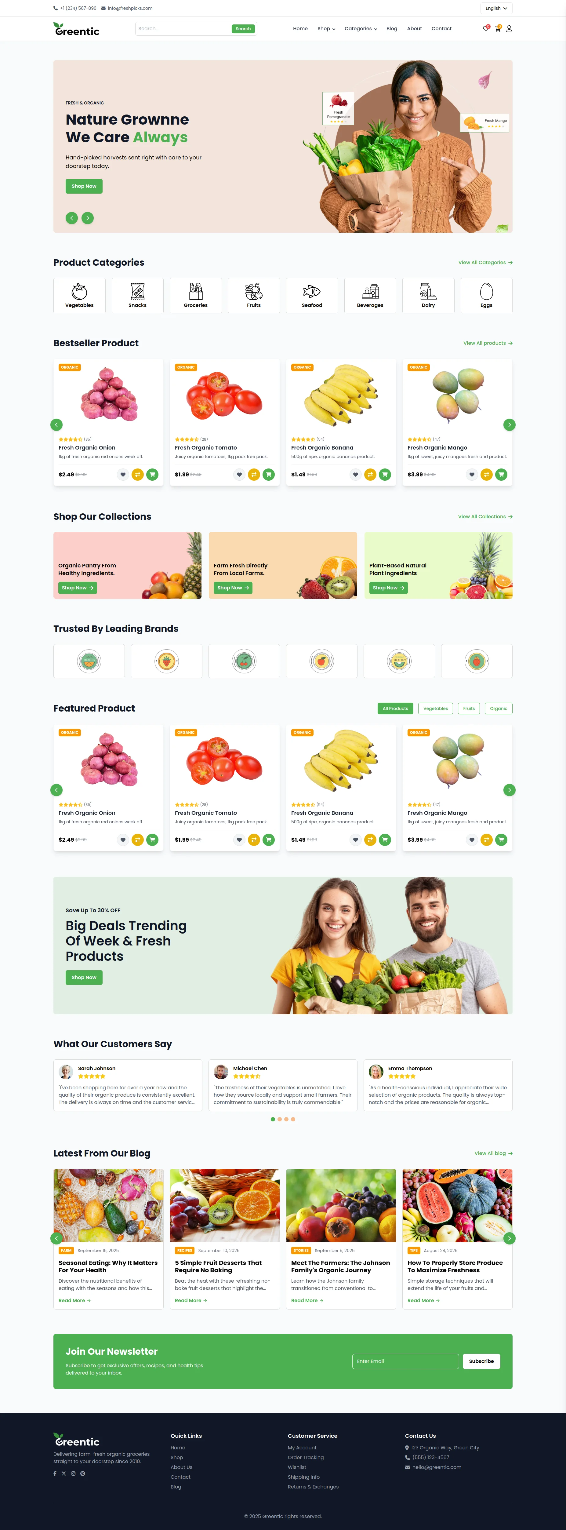 Greentic template preview